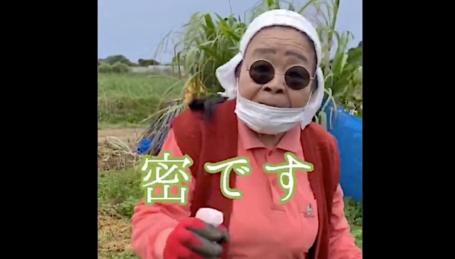 沖縄で自給自足のおばあちゃんがシティーガールに 蜜です ソーサル ディスタンスです Webopi ウェブオピ