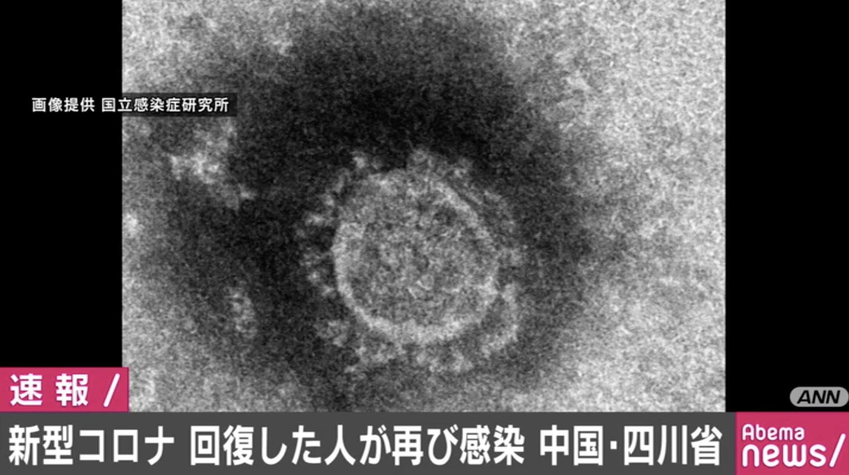 新型コロナウイルスの感染から回復した人が再び感染 中国 | AbemaTIMES