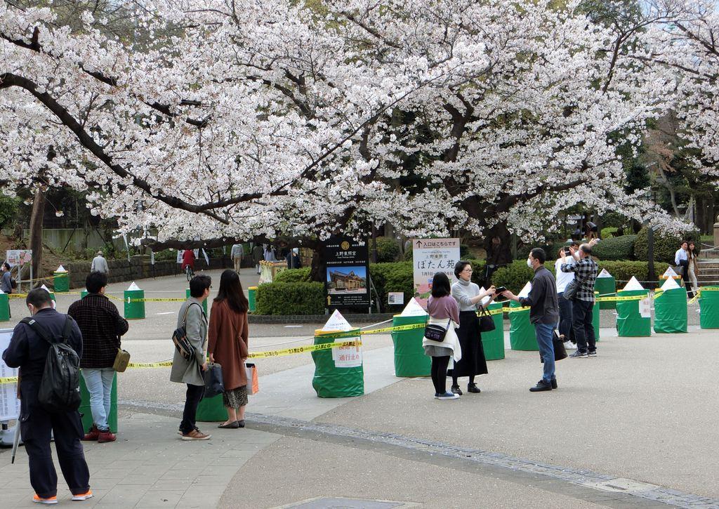 静岡のコロナ患者、上野公園花見で感染か　県内の感染２１人 - 産経ニュース